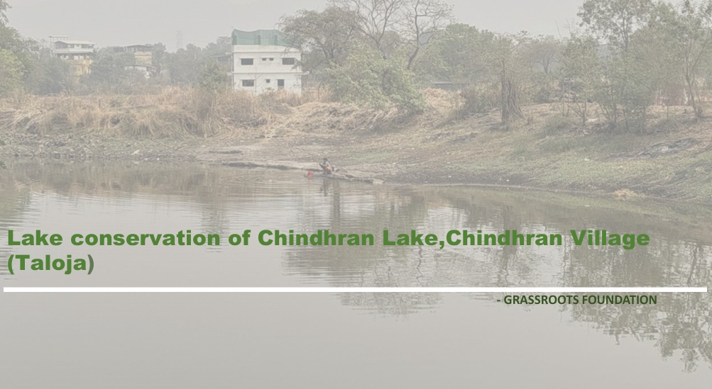 IGSSS Project Background